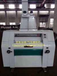 FGfq25:50:60:80:100×2氣壓磨粉機(jī)