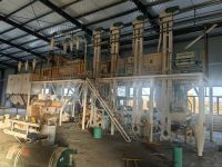 日產(chǎn)50噸玉米糝玉米粉機組