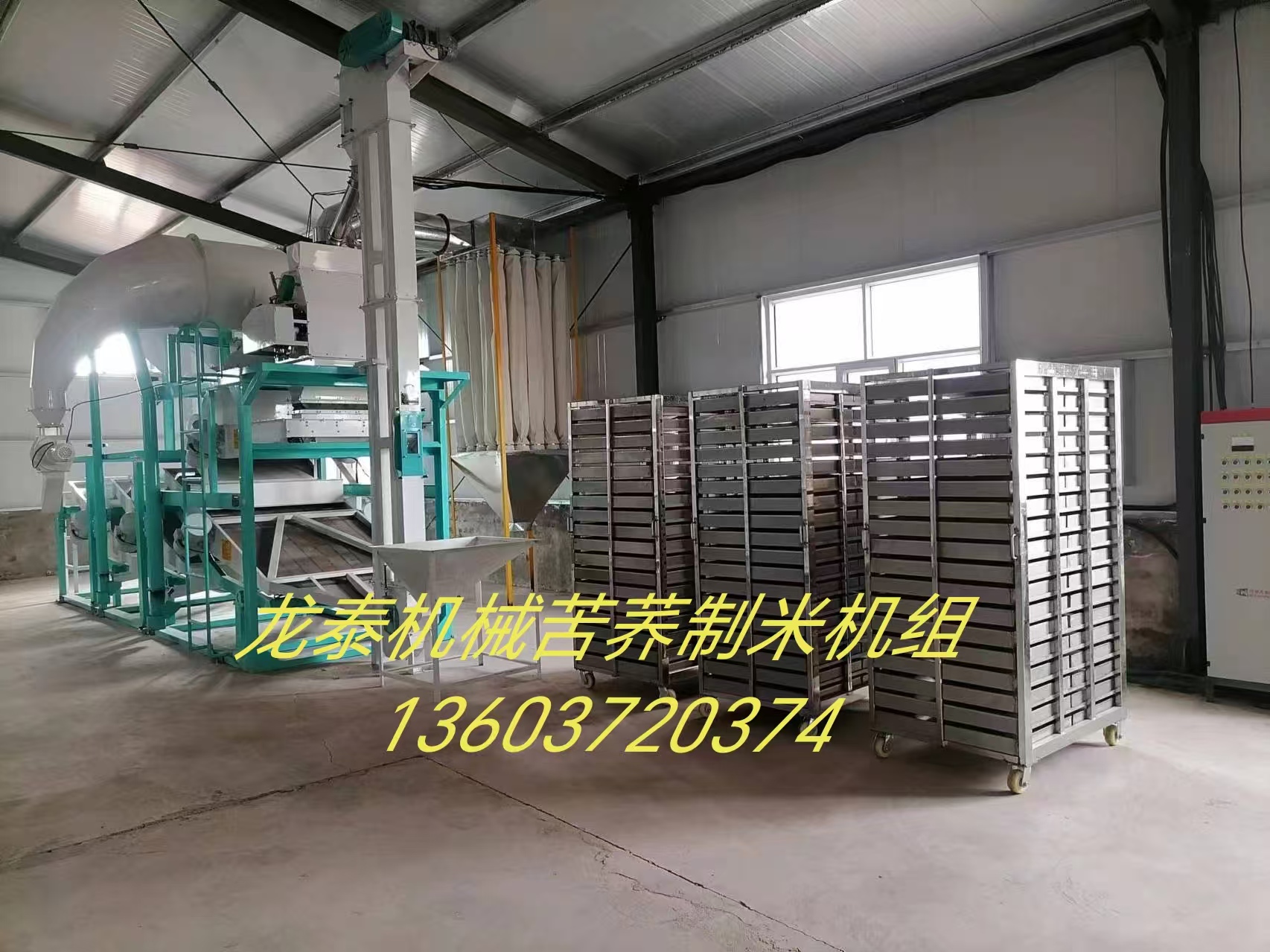 內蒙古鄂爾多斯市杭錦旗四十里梁日產(chǎn)5噸苦蕎茶機組